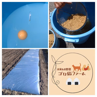 みんなの投稿の画像