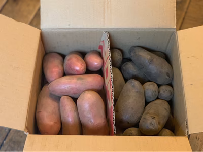 みんなの投稿の画像