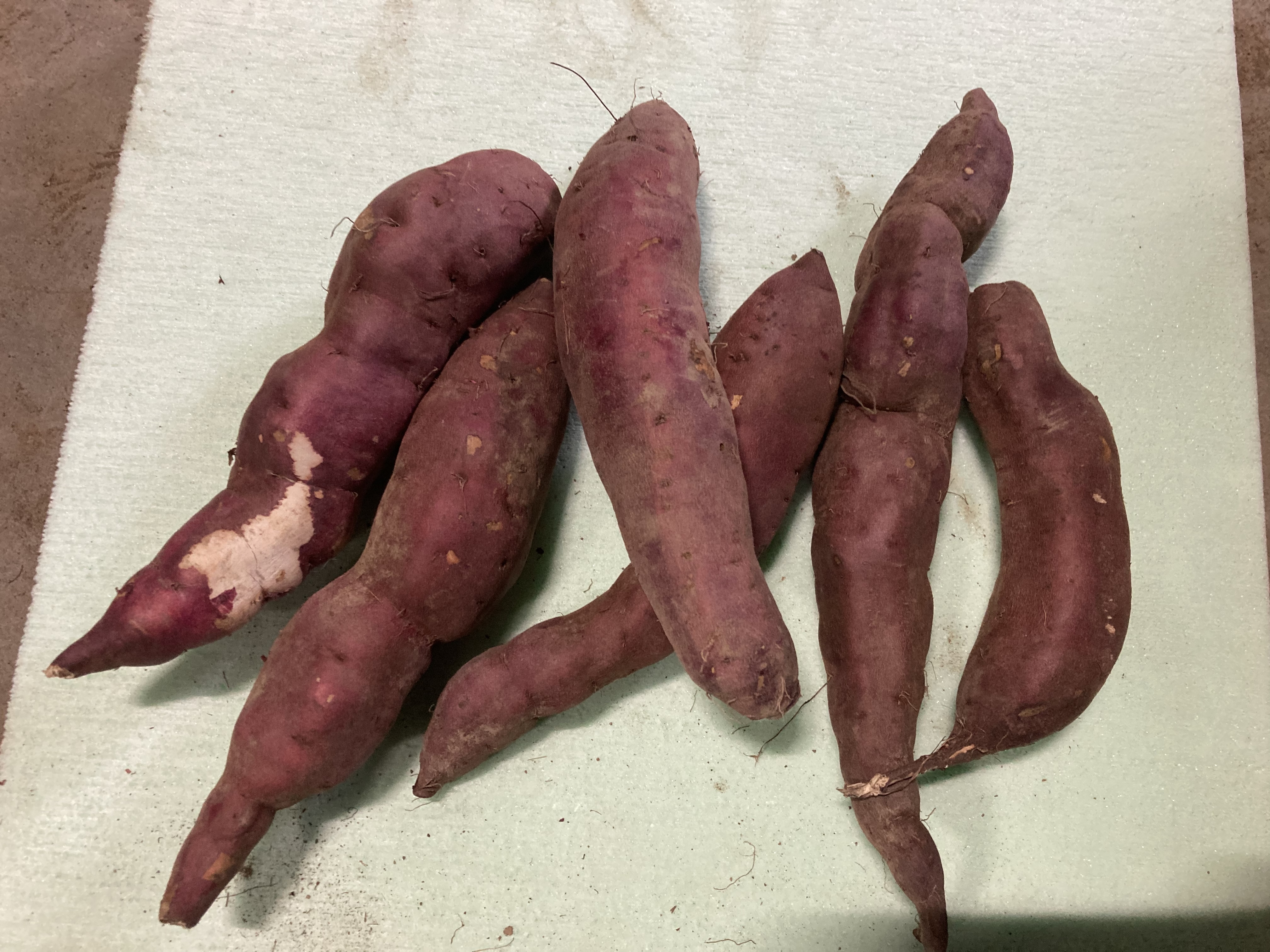 規格外品 由栗いも（さつまいも） 5kg箱、10kg箱、20kg箱｜さつまいも