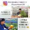 《濃厚で甘い！華やかな香り》ルピアレッドメロン2玉～