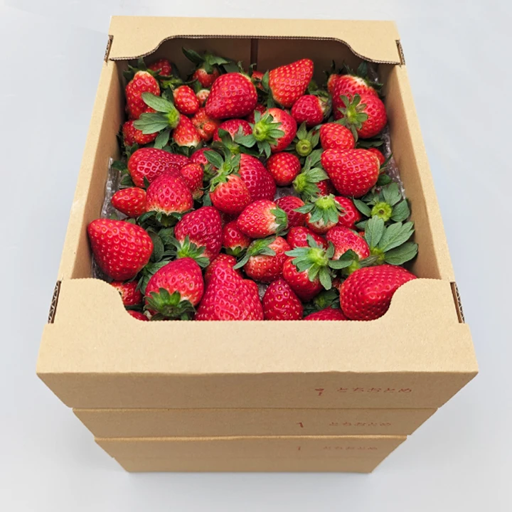 【訳あり品】ボリュームたっぷり！完熟イチゴ 790ｇ×2箱