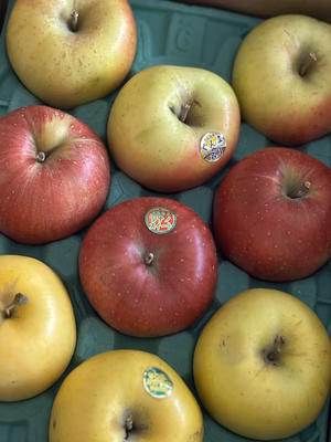 みんなの投稿の画像