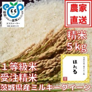 お子様が喜ぶお米！茨城県産ミルキークイーン「ほたる」５㎏（約33合）