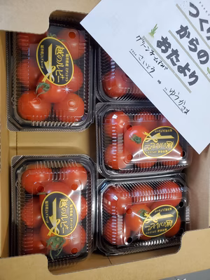 みんなの投稿の画像