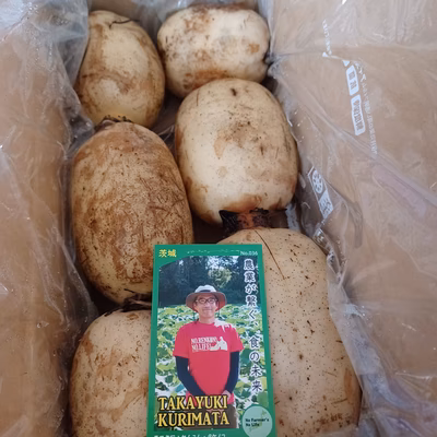 みんなの投稿の画像