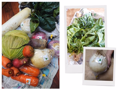 みんなの投稿の画像