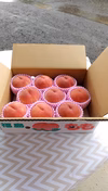 ☆夏の人気者☆【福島の桃】お買得！訳あり家庭用2～5キロ箱