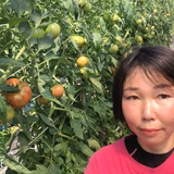 深町美喜