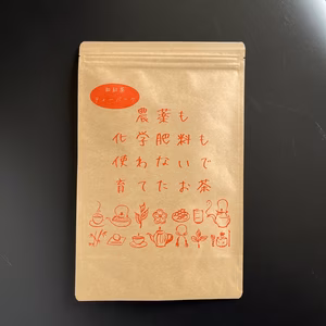 【送料無料・メール便】農薬も化学肥料も使わないで育てた和紅茶 2.5g×100p