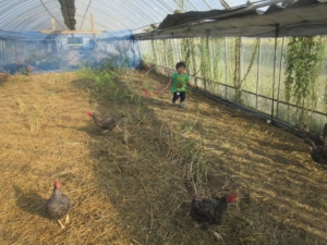 14601027_1079762688798177_3324968024369849625_n