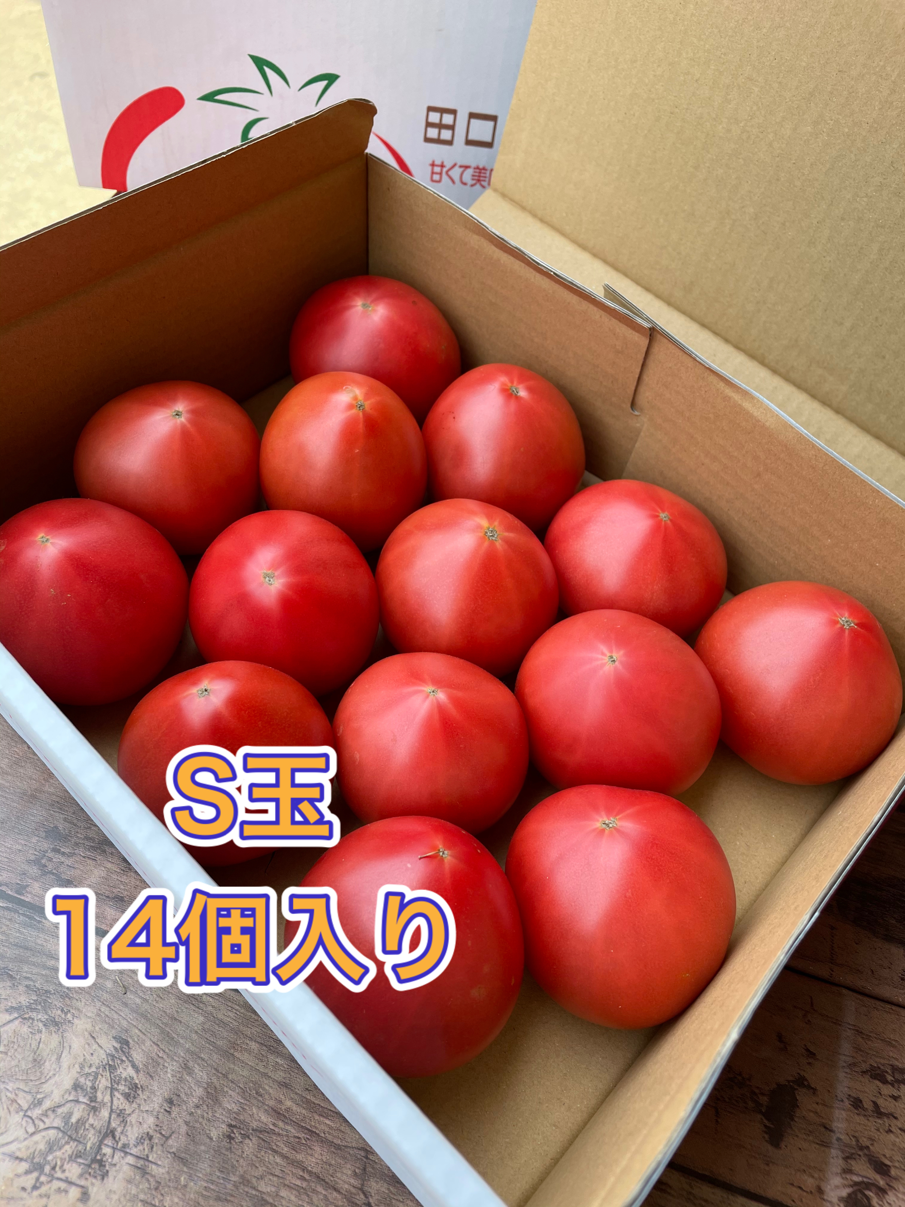 赤熟もぎり！水耕栽培の王様トマト S玉 2キロ箱満杯｜トマトの商品詳細