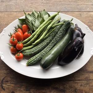 ☆お試しパック☆食べたい野菜だけ作りました☆岐阜のお山から旬の野菜セット