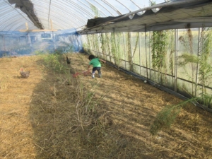 14570309_1079762722131507_1466783560656966014_n