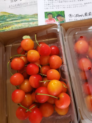 みんなの投稿の画像