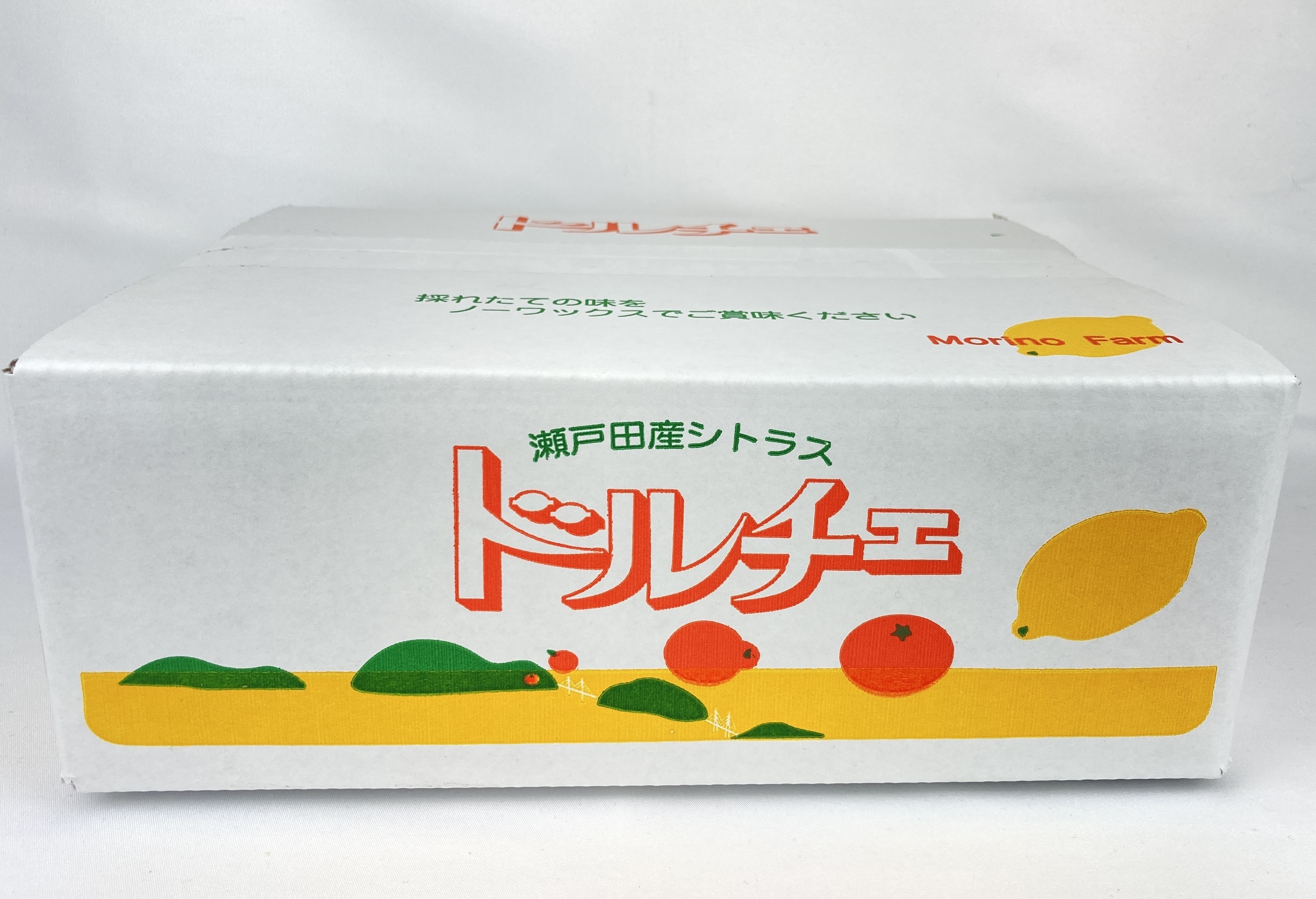 広島県産 瀬戸田レモン20キロ - 果物