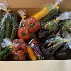 【超お買い得】北海道産米ナス・きゅうり＋お任せ野菜セット