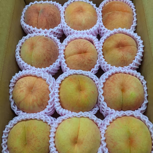 桃あかつき小サイズ