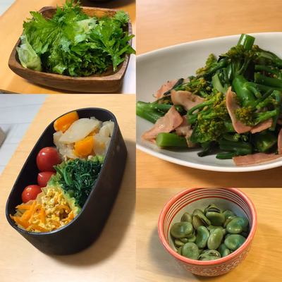 みんなの投稿の画像