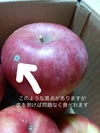 訳あり！山形県産りんご♡サンふじ♡お得
