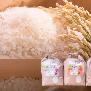 【平成天皇大嘗祭献上米】化学肥料不使用 特A米 ヒノヒカリ玄米5㌔