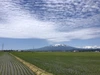 「はえぬき」白米 慣行栽培米 令和４年産 いいあん米 山形県庄内産