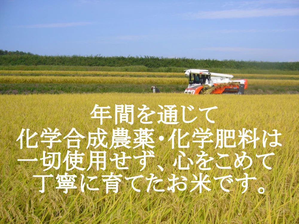 【黒米入り】信州りんご米せんべい 1袋70g