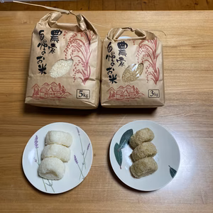 予約販売　令和6年度　新米　5キロ　熊本県産　七城米（玄米）農薬、化学肥料不使用