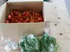 中玉トマト　サンマルツァーノ・リゼルバ　３kg　おまけ付き　栽培期間中農薬不使用