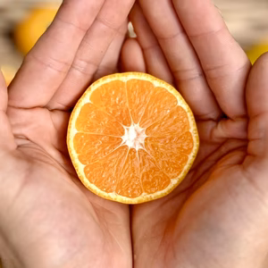 【最高糖度13度】小玉 極早生みかん 愛媛県川上産