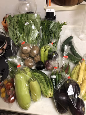 みんなの投稿の画像