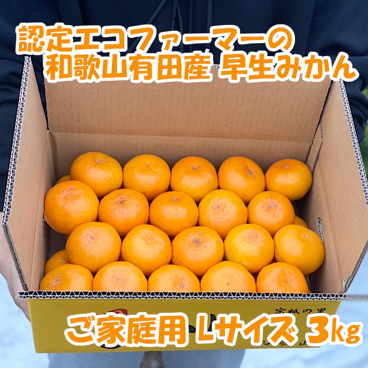 [ご家庭用・Lサイズ]和歌山有田産!早生みかん≪3kg≫★11月下旬〜発送 3kg