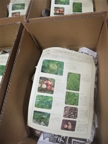 山陰・鳥取より！自然栽培（無肥料・無農薬・無除草剤）の野菜Sセット 5-6品｜野菜の商品詳細｜ポケットマルシェ｜産直(産地直送)通販 - 旬の果物・野菜 ・魚介をお取り寄せ