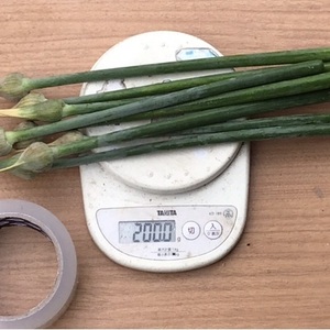 海の幸、山の幸がたっぷり詰まった オイスターニンニク（ジャンボニンニク）の芽