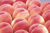 ８月初頭が旬の固い桃(なつっこ)3kg/箱か2kg/箱・南アルプス上宮地産
