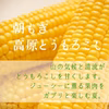 とうもろこし（ゴールドラッシュ）【6本　約2.4kg】