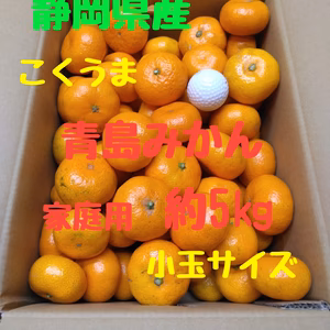 静岡県産　青島みかん　小玉サイズ　家庭用　約5㎏