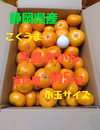 静岡県産　青島みかん　小玉サイズ　家庭用　約5㎏