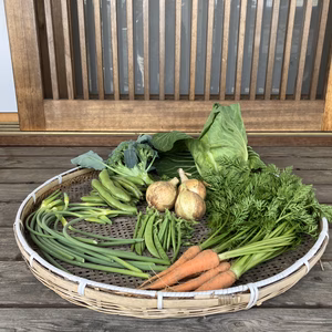農薬化学肥料・除草剤不使用春の野菜セット　５月　レシピ付き