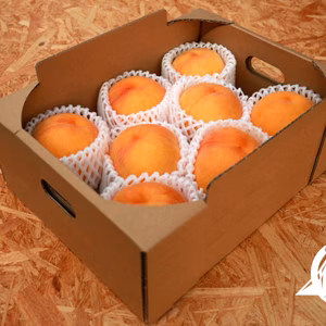 困ります！誰にも教えないで下さい。〜秘味黄金(黄桃)〜