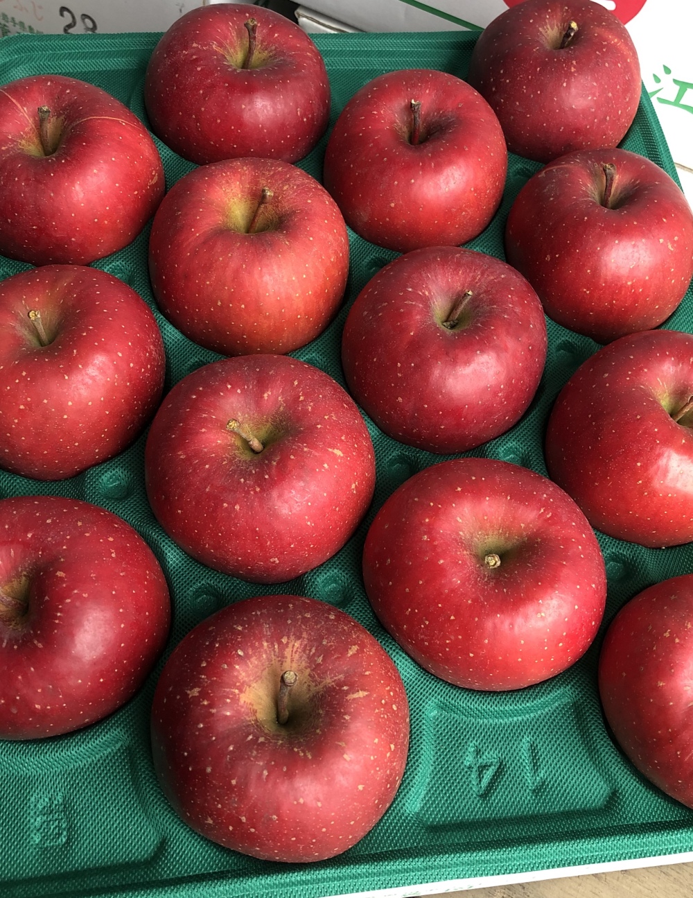 [2025年産 学校給食でも大人気!!] 江刺のサンふじ 家庭用 約2kg(4〜6玉)