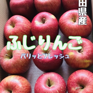 雪中りんご　寒〆　北国リンゴ　さんふじ　秋田県産　ふじ　ぶじりんご　