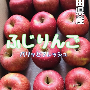 りんご　リンゴ　林檎　秋田県産　ふじ　ぶじりんご　フレッシュ　