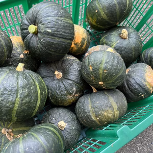 高野山麓精進野菜・南瓜