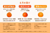 「春から初夏の柑橘巡る定期便」旬の柑橘9品種を食べ比べ