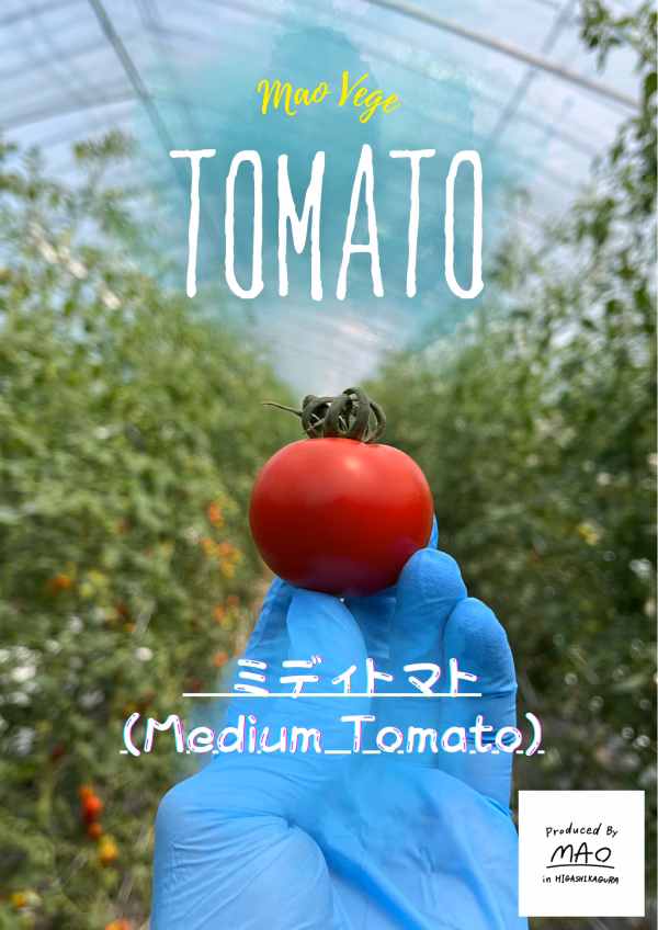【朝採れ濃厚完熟！！】北海道産ミディトマト