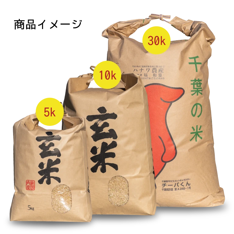 新米：特別栽培米】コシヒカリ (玄米) / 令和5年｜米・穀類の商品