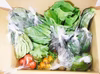野菜セット8-10品　自然栽培（無肥料・無農薬・無除草剤）　山陰・鳥取より
