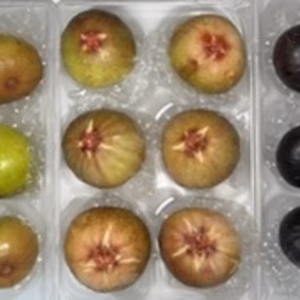 　本日の朝市❗️食べ比べセット&ビオレソリエス極小玉&蓬莱柿