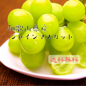 ◎送料無料◎ サクッと爽やかな甘さ 和歌山県産 シャインマスカット 訳あり