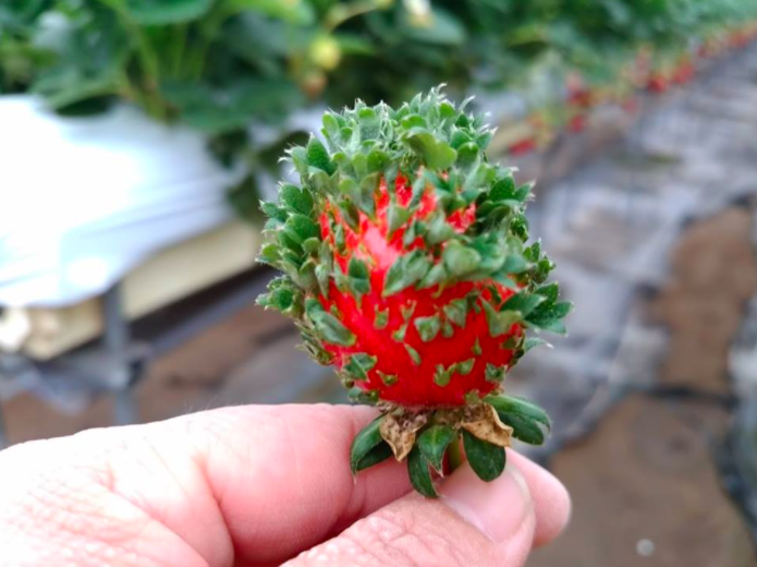 スクリーンショット 2017-01-17 18.42.26